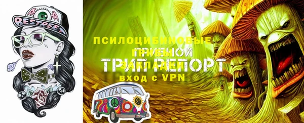 твердый Новозыбков