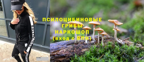 синтетический гашиш Богданович