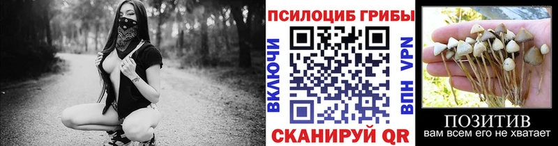 kraken как войти  Видное  Галлюциногенные грибы Magic Shrooms  где купить  