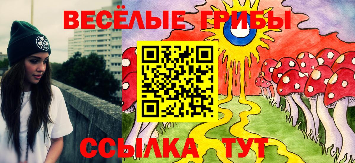 Псилоцибиновые грибы мицелий Видное