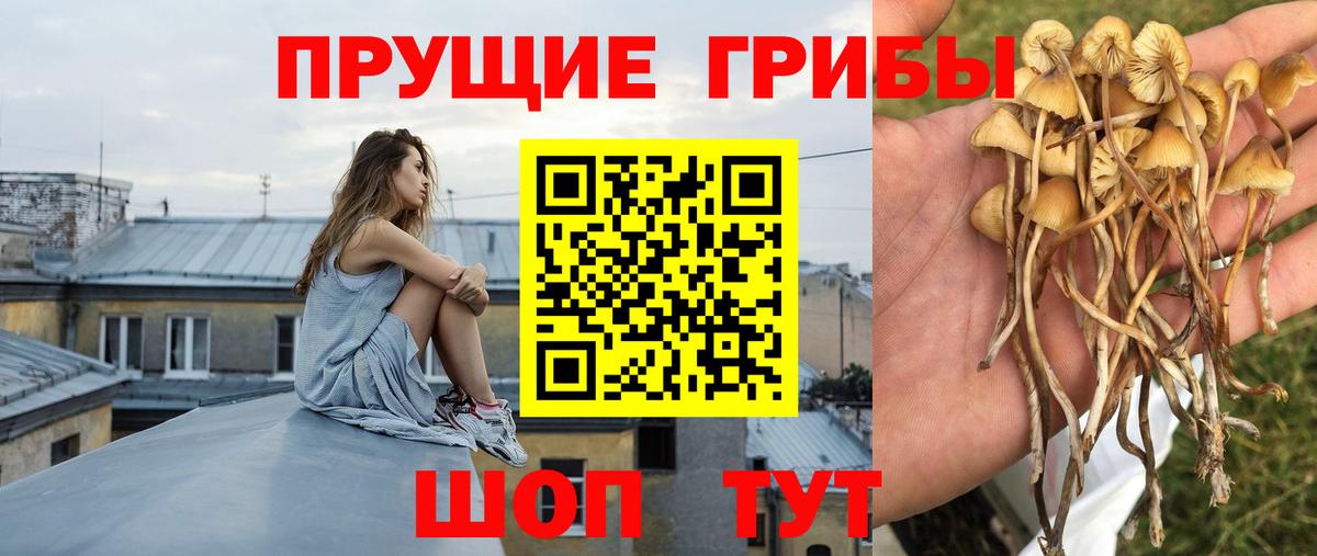 Псилоцибиновые грибы Magic Shrooms Видное