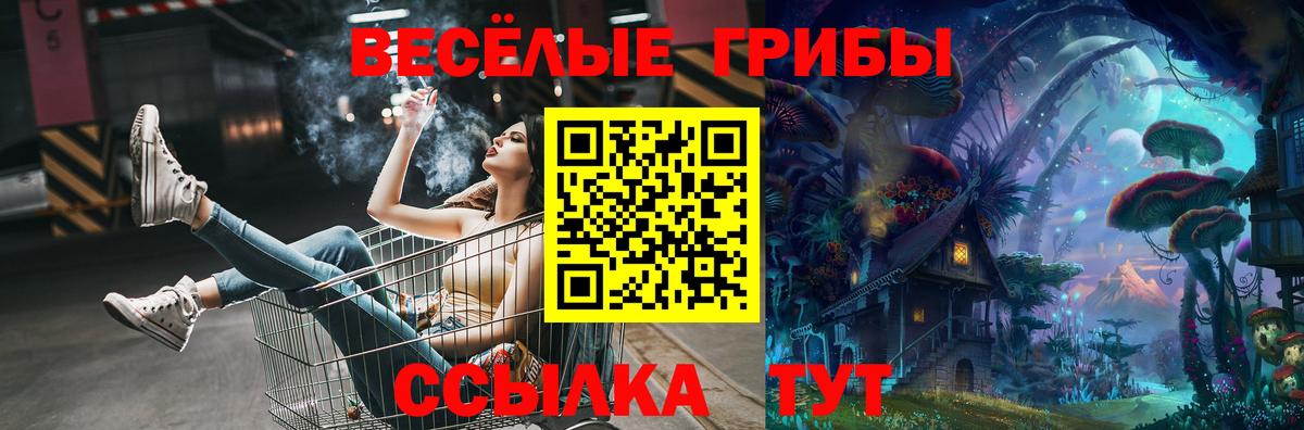 Видное  продажа наркотиков  Вход с VPN  Галлюциногенные грибы мицелий 